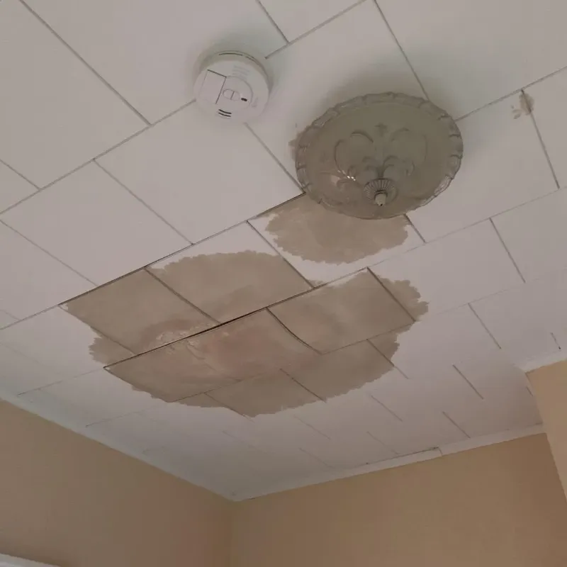 Ceiling Water Damage Repair in Mounds View, MN
