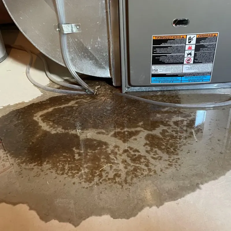 Pipe Burst and Leak Restoration in Mounds View, MN